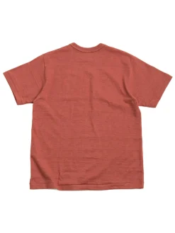 LOT 4061 592ND SIGNAL SALMON | Warehouse & Co Flash Sale